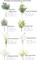 Artificial Greenery Spray Box Set(Pack of 50pcs) with 8 Kinds of DIY Wedding Bouquet Filler Table Centerpieces and Floral Arrangement (Spring Green)